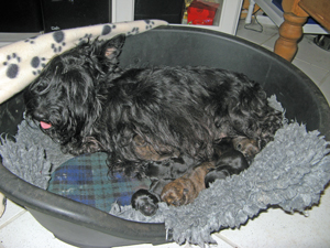 Gracie als stolze Mutter