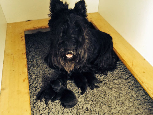 Wilma als stolze Mama