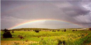Die Regenbogenbrücke